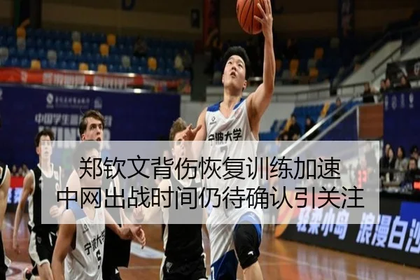 郑钦文背伤恢复训练加速 中网出战时间仍待确认引关注